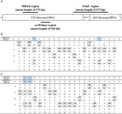 Metabarcoding Analysis of Ichthyoplankton in the East/Japan Sea Using the Novel Fish-Specific Universal Primer Set